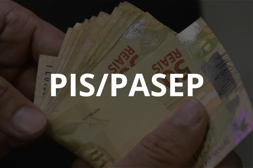 Consultare PIS 2025 senza uscire di casa